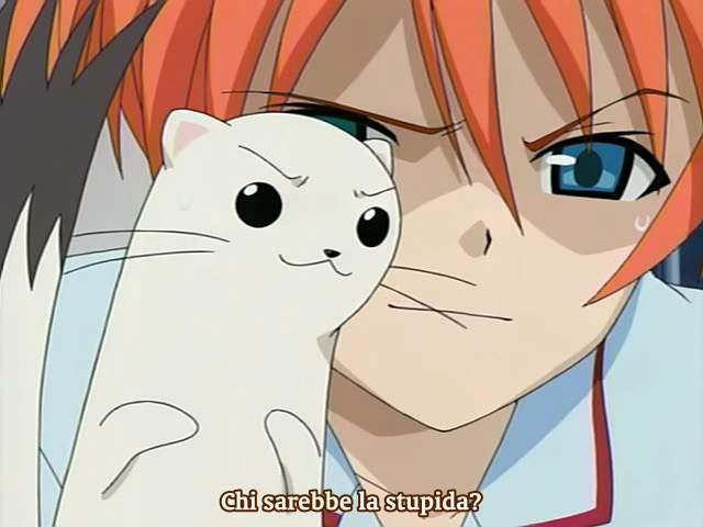 Otaku Gallery  / Anime e Manga / Magister Negi Magi / Screen Shots / 12 - Aut disce aut discede / 021.jpg